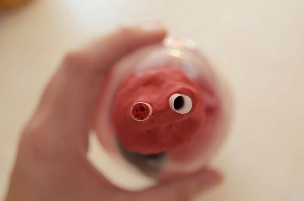 up close view of the lung science experiment bottle in use