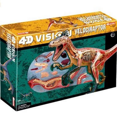 Dinosaur - Velociraptor Anatomy Science model Kit for Kids