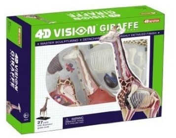Giraffe Anatomy Model Science Kit for Kids