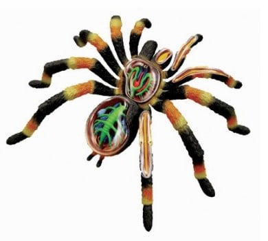 Tarantula Anatomy Science Model Kit for Kids