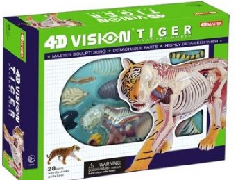 Tiger Anatomy Model Science Kit for Kids