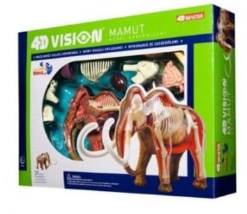 Woolly Mammoth Anatomy Model Science Kit for Kids