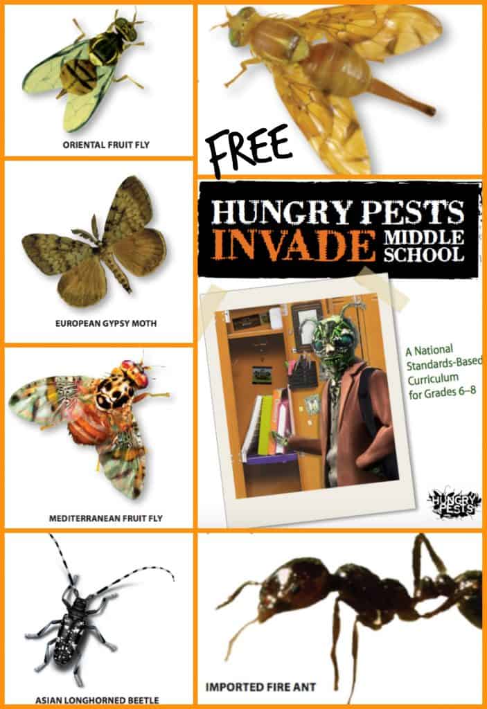 Free Hungry Pests Invade Middle School Curriculum