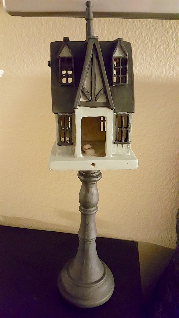 Harry Potter Hogsmeade Village Thrift Store Project