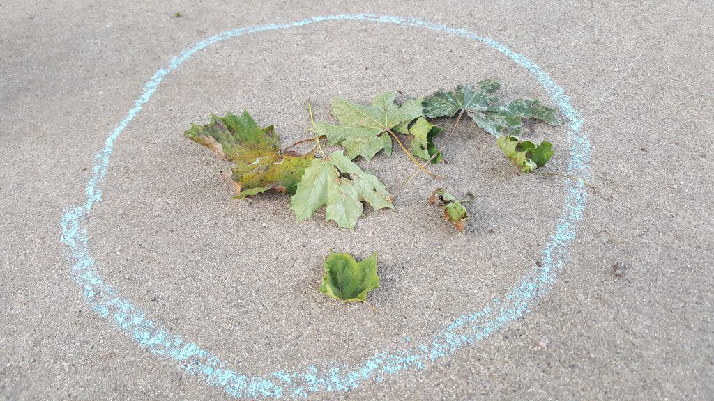 Colors & Shapes Nature Scavenger Hunt for Toddlers