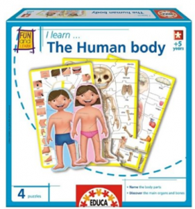 I Learn the Human Body kids game