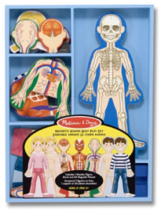 Melissa & Doug Wooden Magnetic Human Body Puzzle