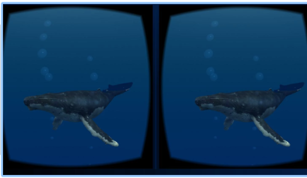 Sea World VR App