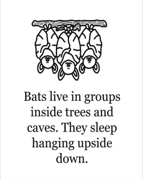 Bats Coloring Page