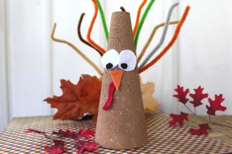 Thanksgiving Turkey Pipe Cleaner Feathers Cone Craft for Kids