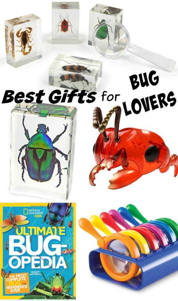 bug gifts for kids