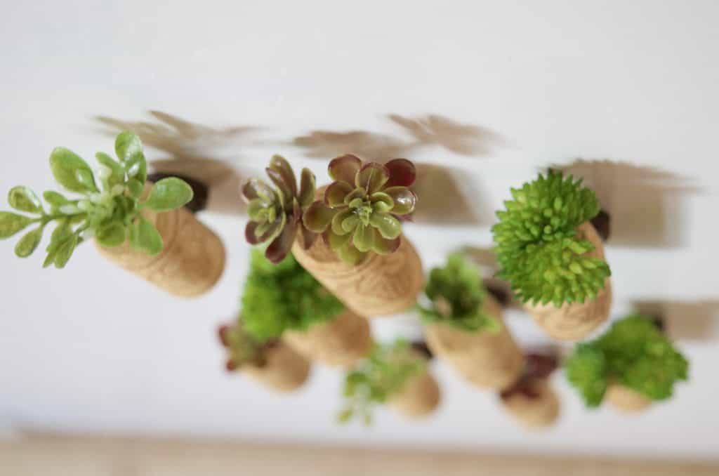 how to make fake Succulent Magnets