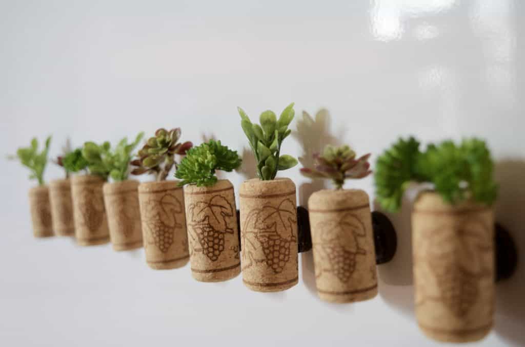 how to make fake Succulent Magnets in wine corks