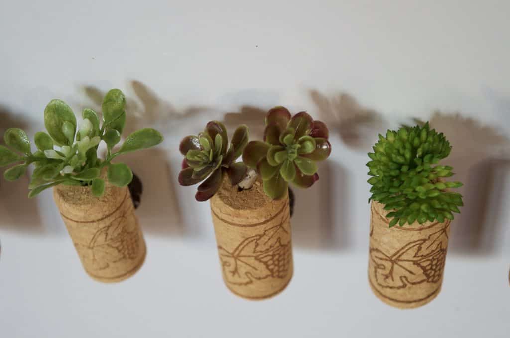 how to make fake Succulent Magnets in wine corks