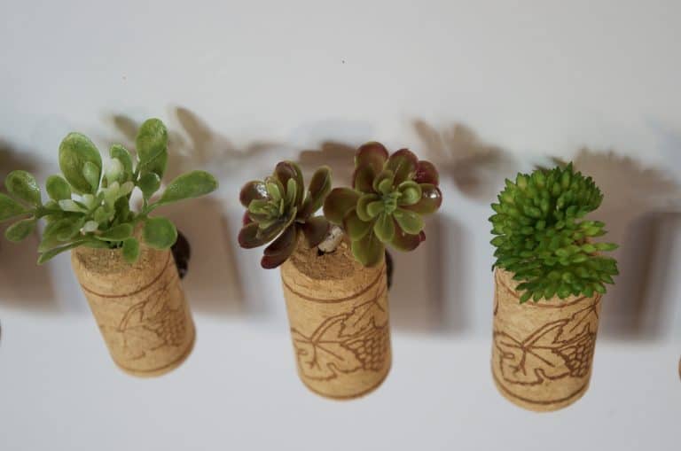 How to Make Fake Succulent Magnets Home Decor Tutorial