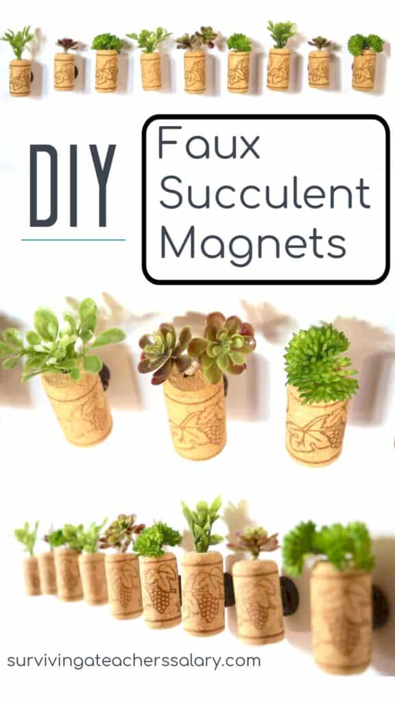 how to make succulent magnets