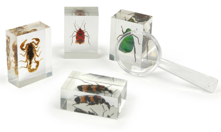 Bug gifts cheap for toddlers