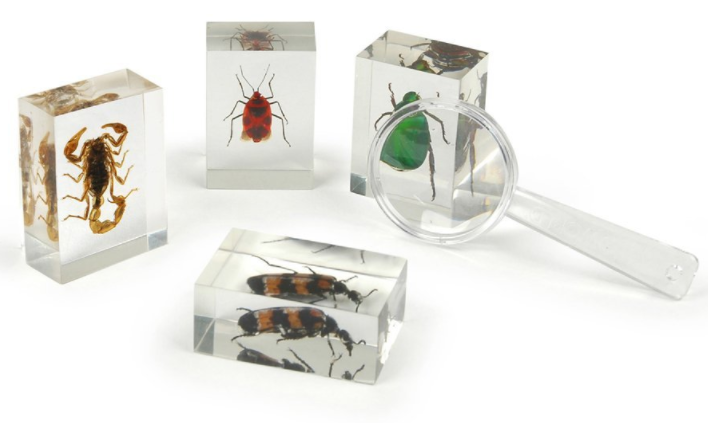 real insect bug blocks