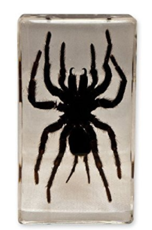 Real Tarantula Paperweight block gift