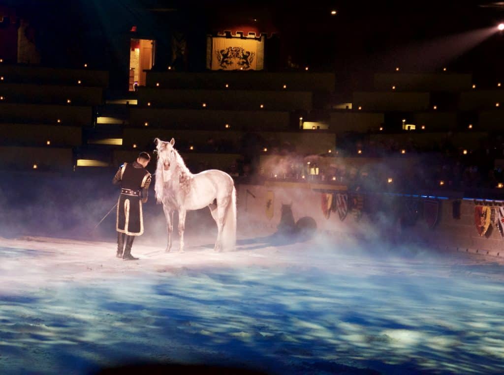 An Educational Field Trip to Medieval Times