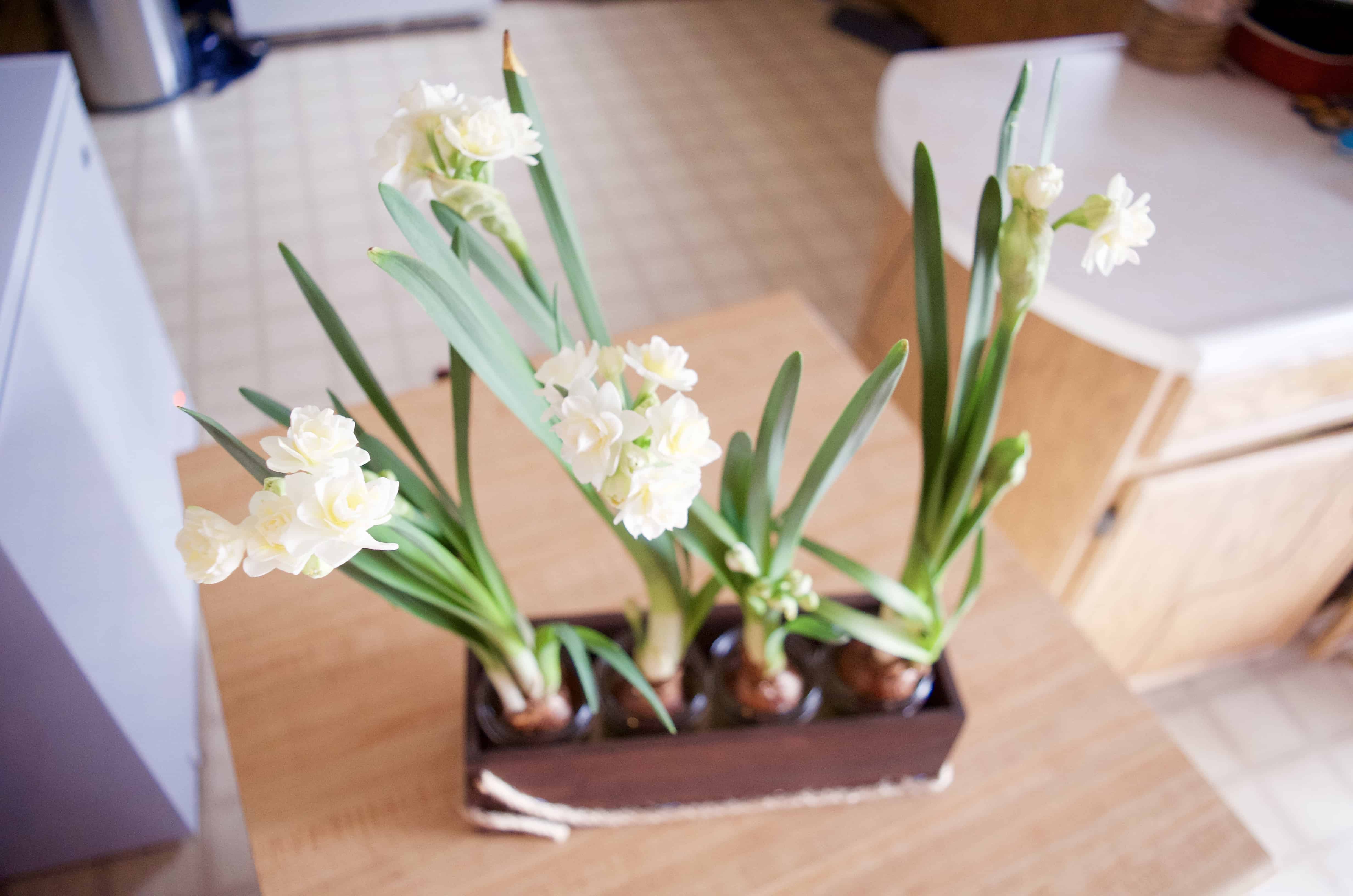 Stained Your Own Wood Flower Box Home Decor