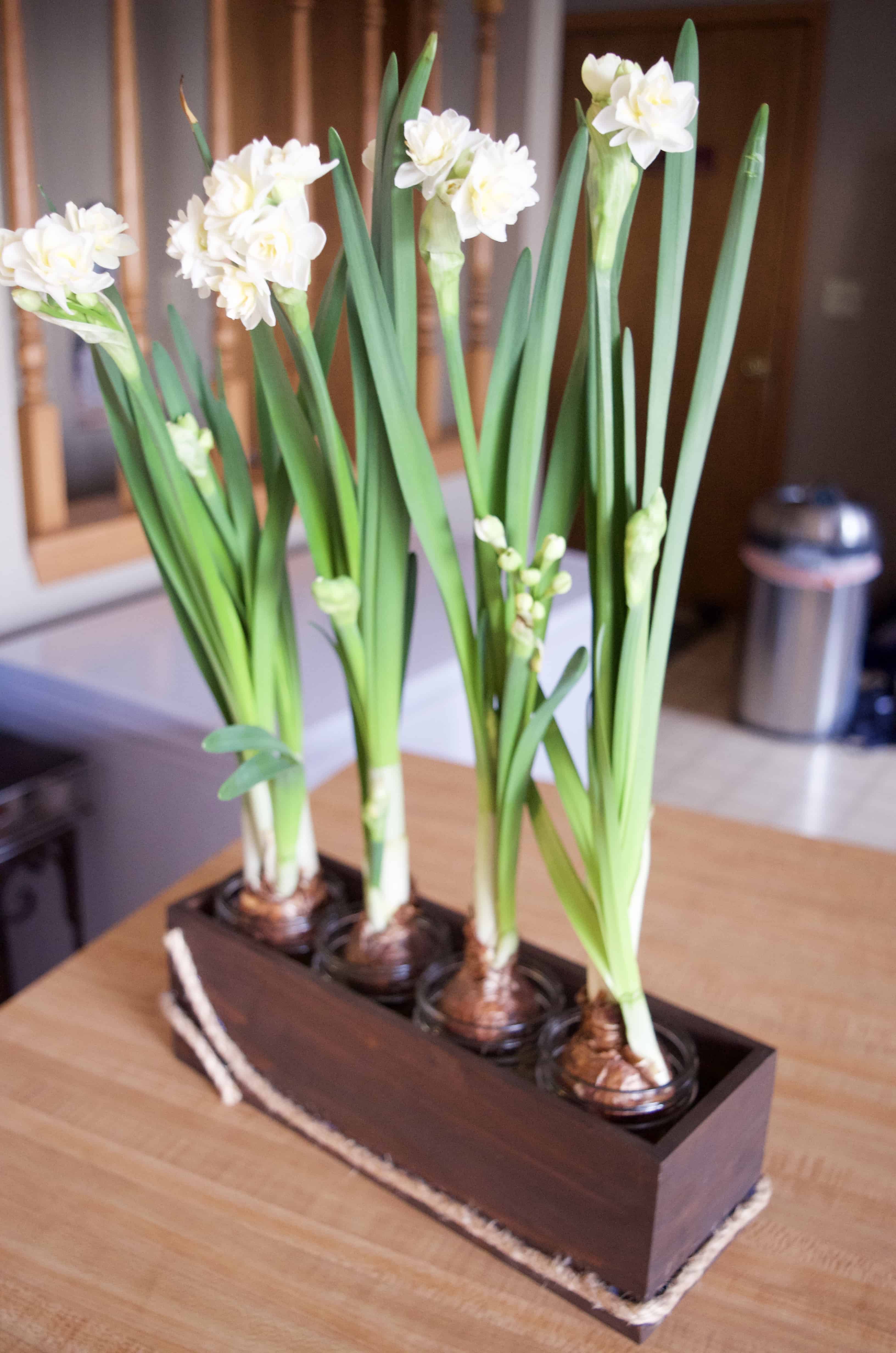 Stain Your Own DIY Wood Flower Box Home Decor