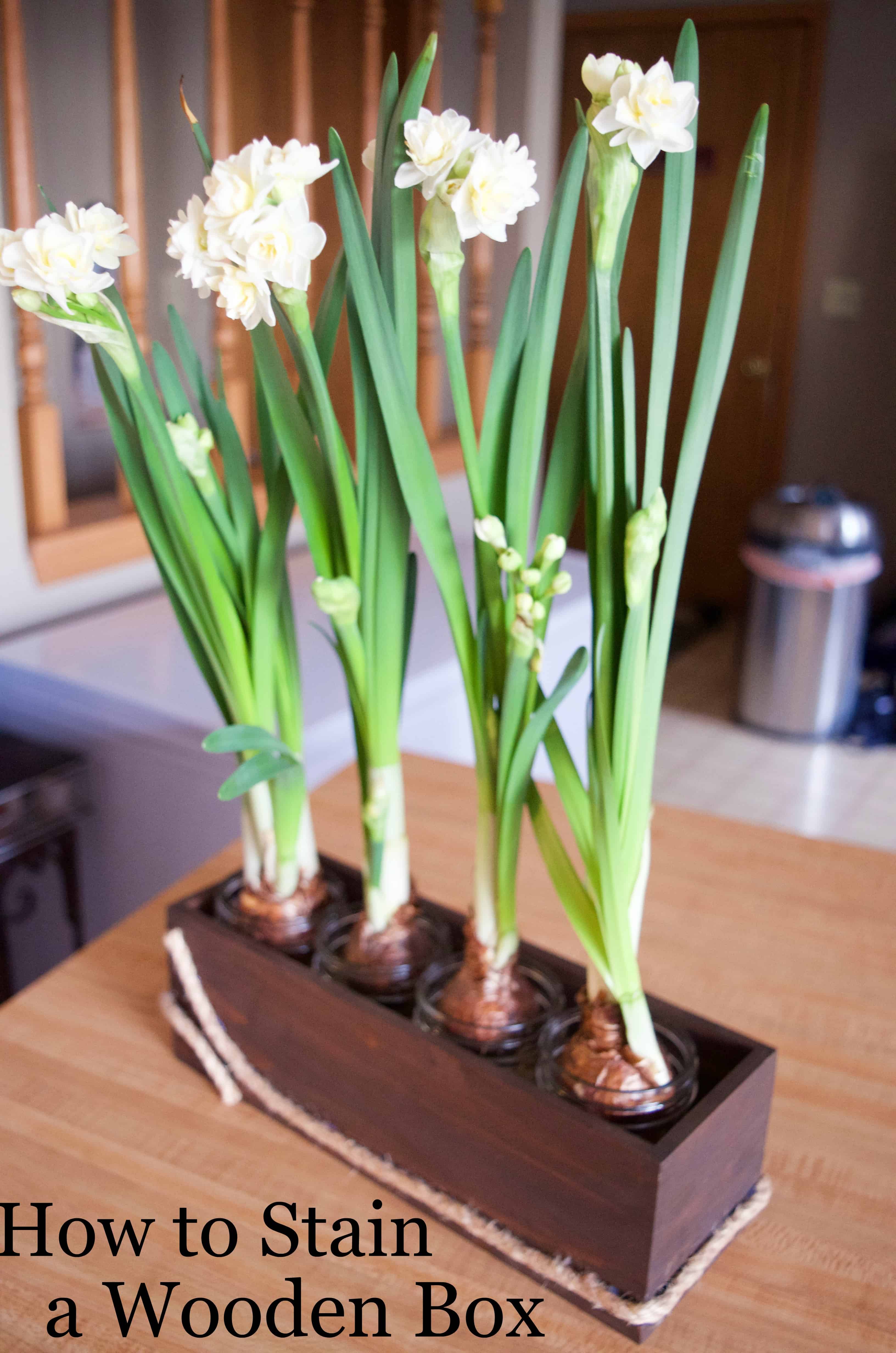 How to Stain a Wooden Flower Box Home Decor