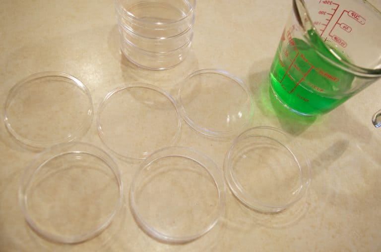 Simple Dr. Seuss Day inspired Jello Snack Treat for Kids