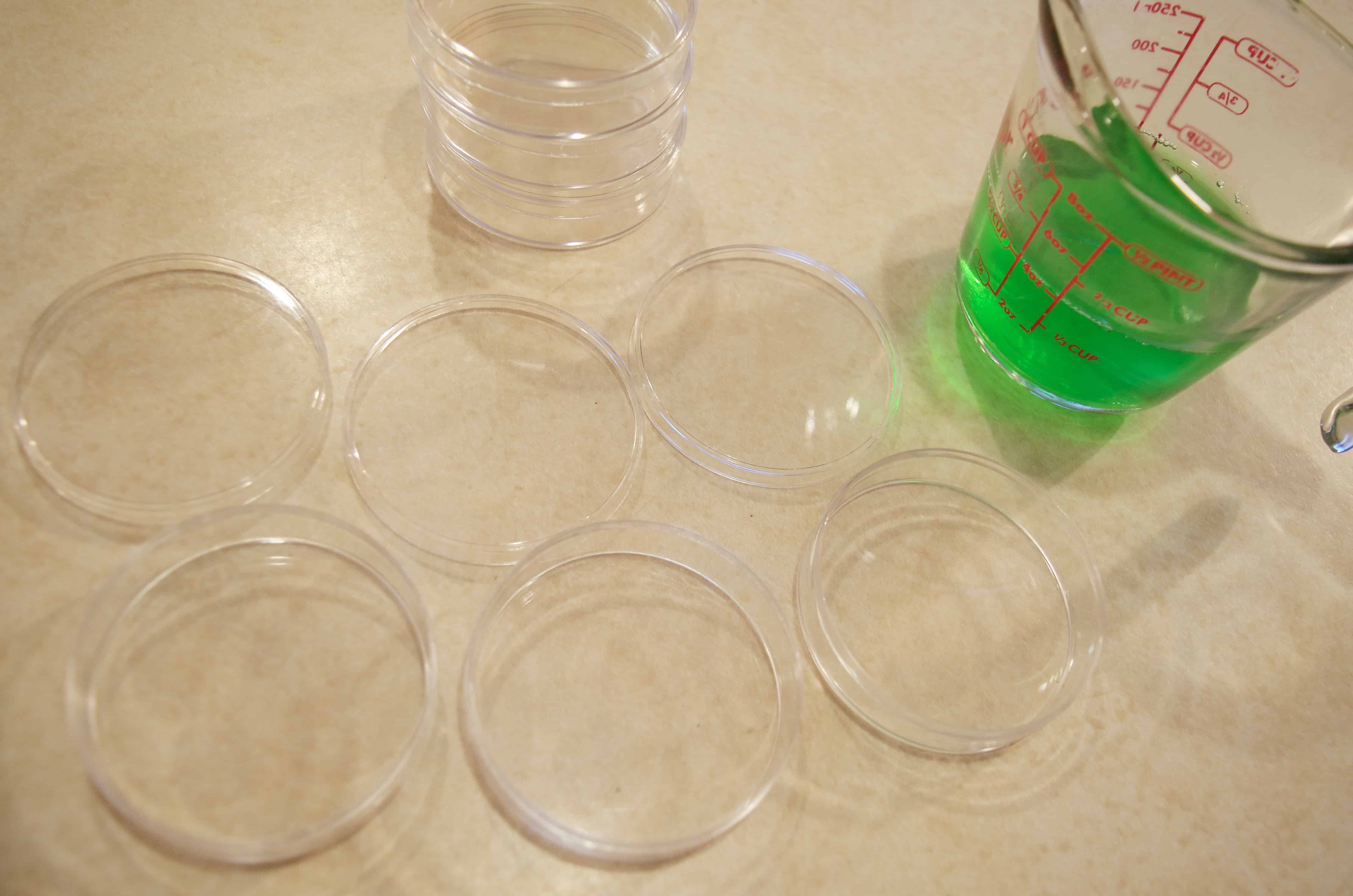 Simple Dr. Seuss inspired Jello Snack Treat for Kids