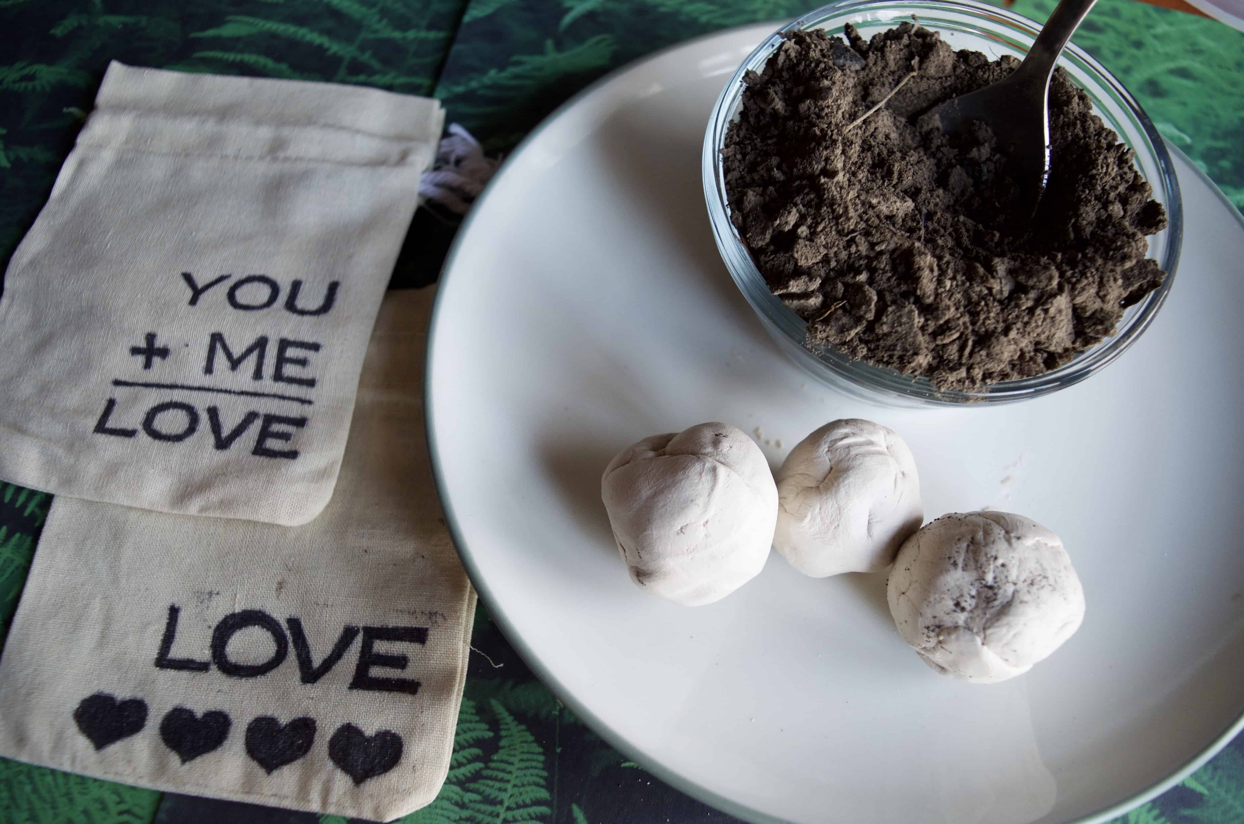 DIY Seed Bomb Garden Gift Idea with DIY Custom Bag