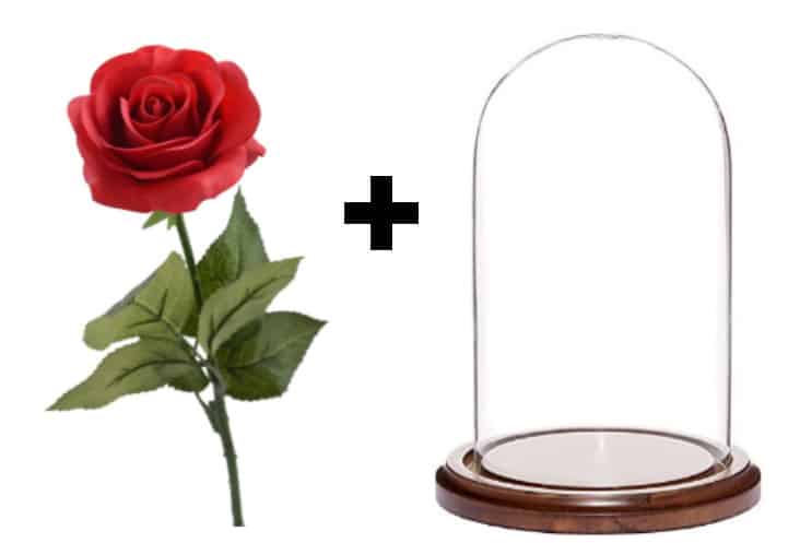 DIY Beauty & the Beast Glass Cloche Dome Rose