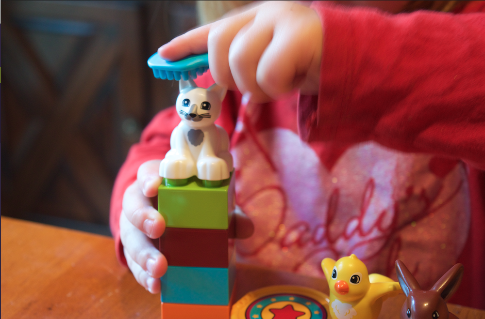 2 LEGO DUPLO Building You Need Preschool Play Time