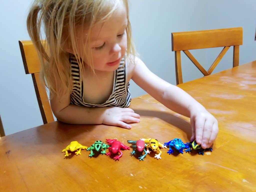 little girl playing with poison dart frogs on table