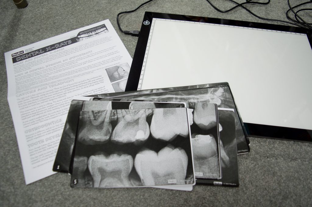 Dental X-Rays for Kids Learning Activity