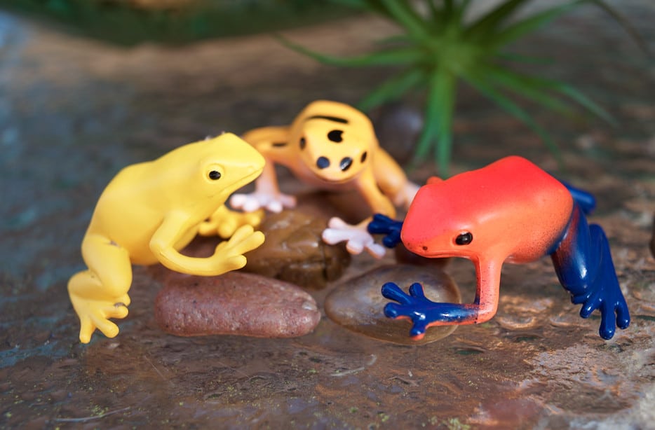 poison dart frog toys from safari ltd toob