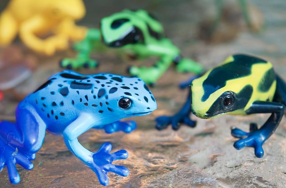 poison dart frogs toys from safari ltd toob