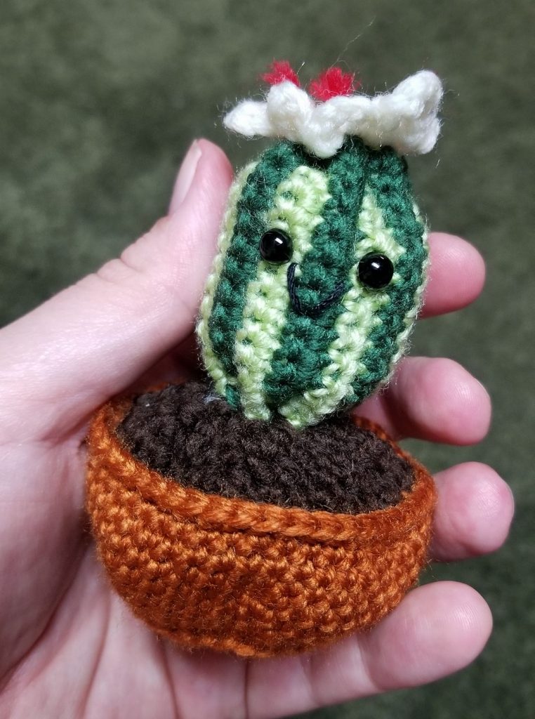 Crochet Cactus 
