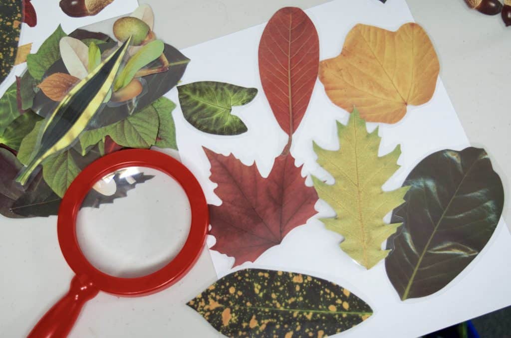 10 Fall Activities & Nature Crafts for Kids Using Leaves & Sticks
