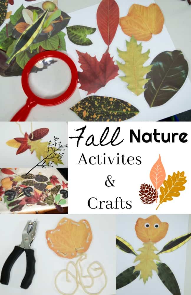 Fall Nature Activities and Crafts