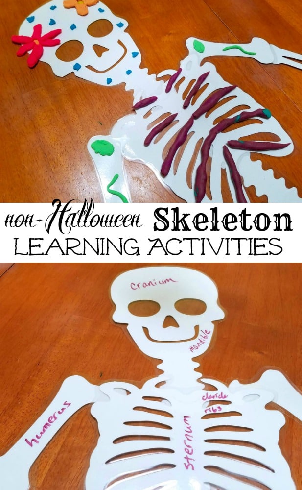 Learning About Skeletons & Bones Activities for School