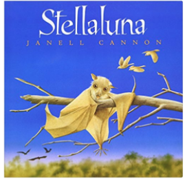 Stellaluna bat book for children