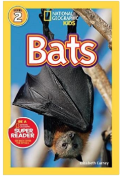 National Geographic Book about bats