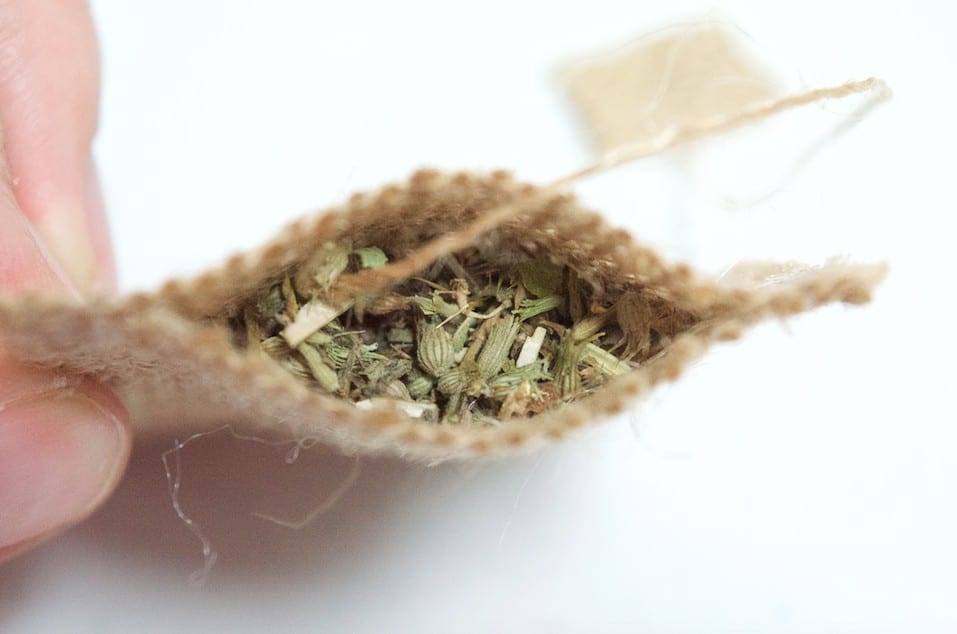 DIY Catnip Teabags with Wheatgrass Plant Teacup Cat Gift Set