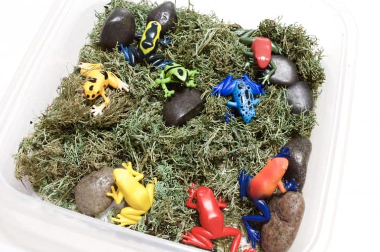 Wetlands & Water Play Sensory Bins for Science