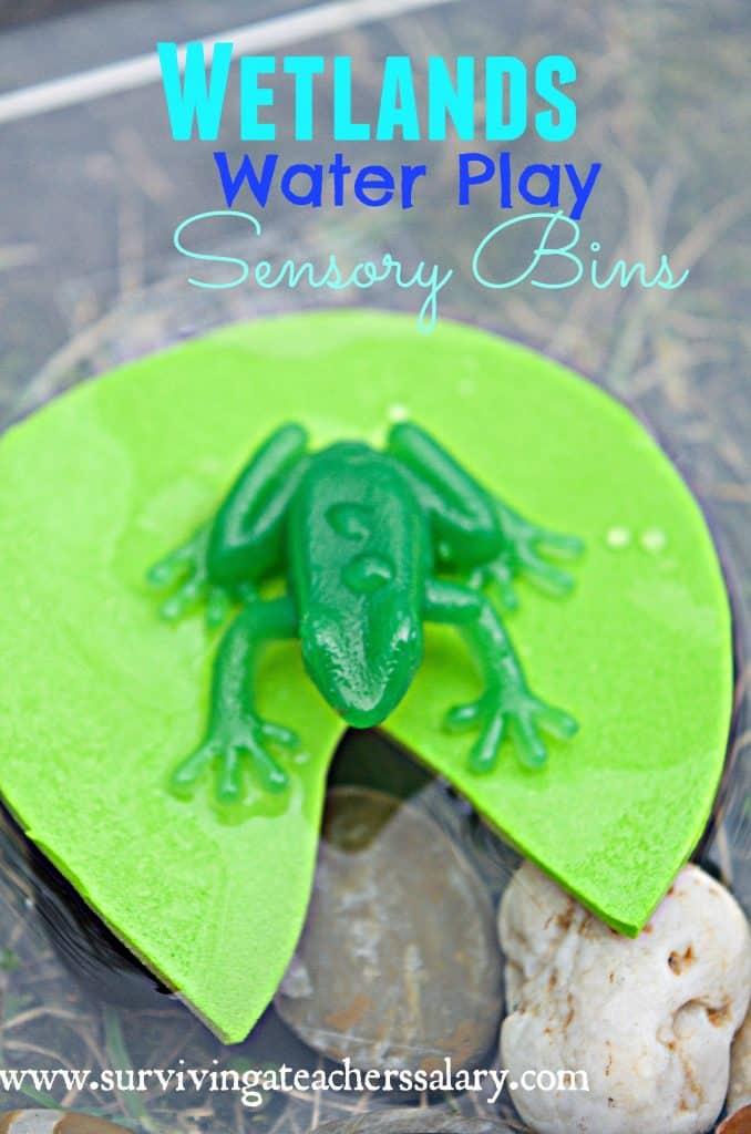 frog on green lily pad water sensory bin