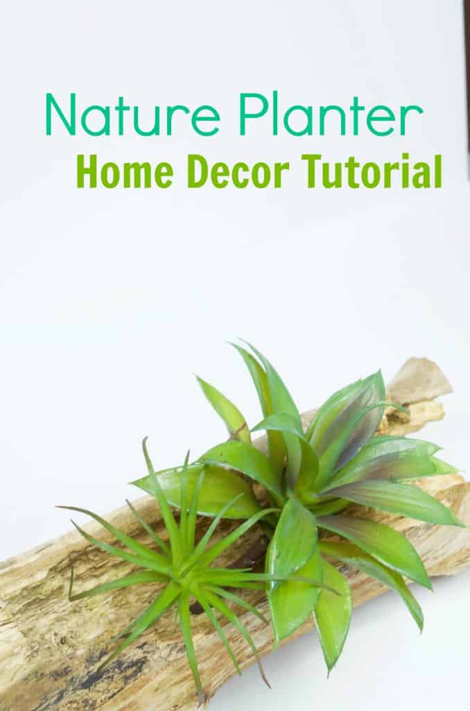 Bring Nature Indoors: DIY Inexpensive Nature Planter Home Decor Tutorial