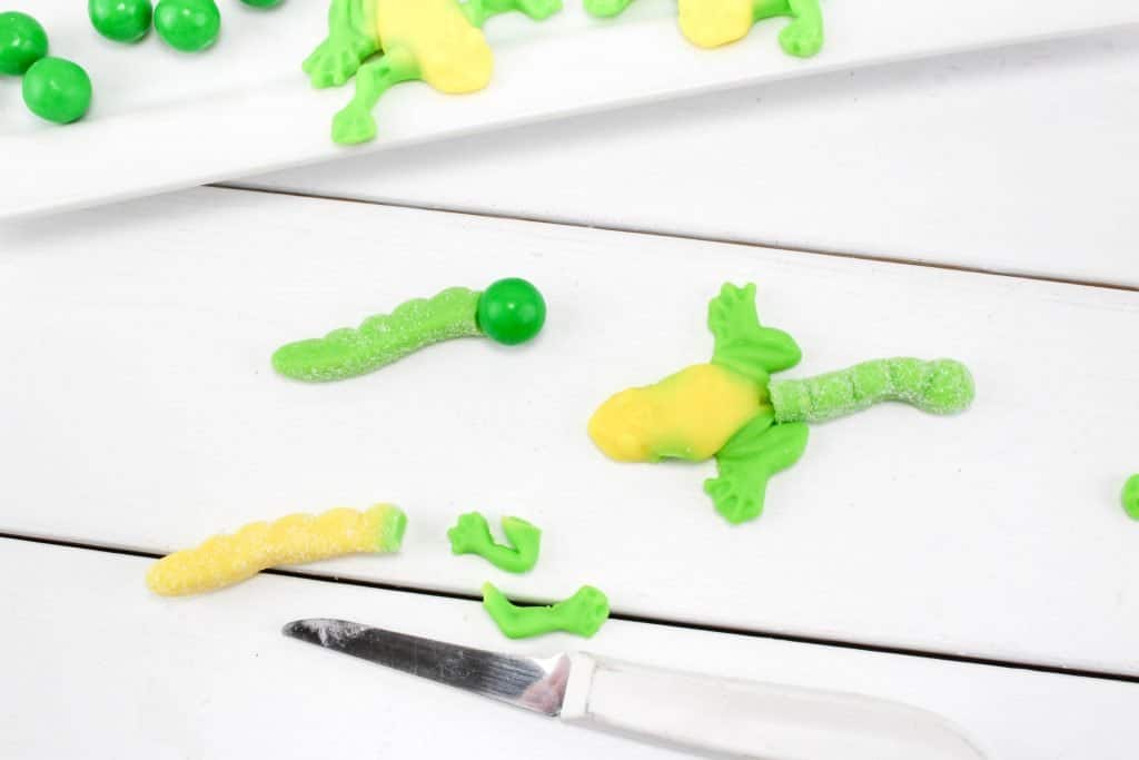 making frog life cycle from gummy candy