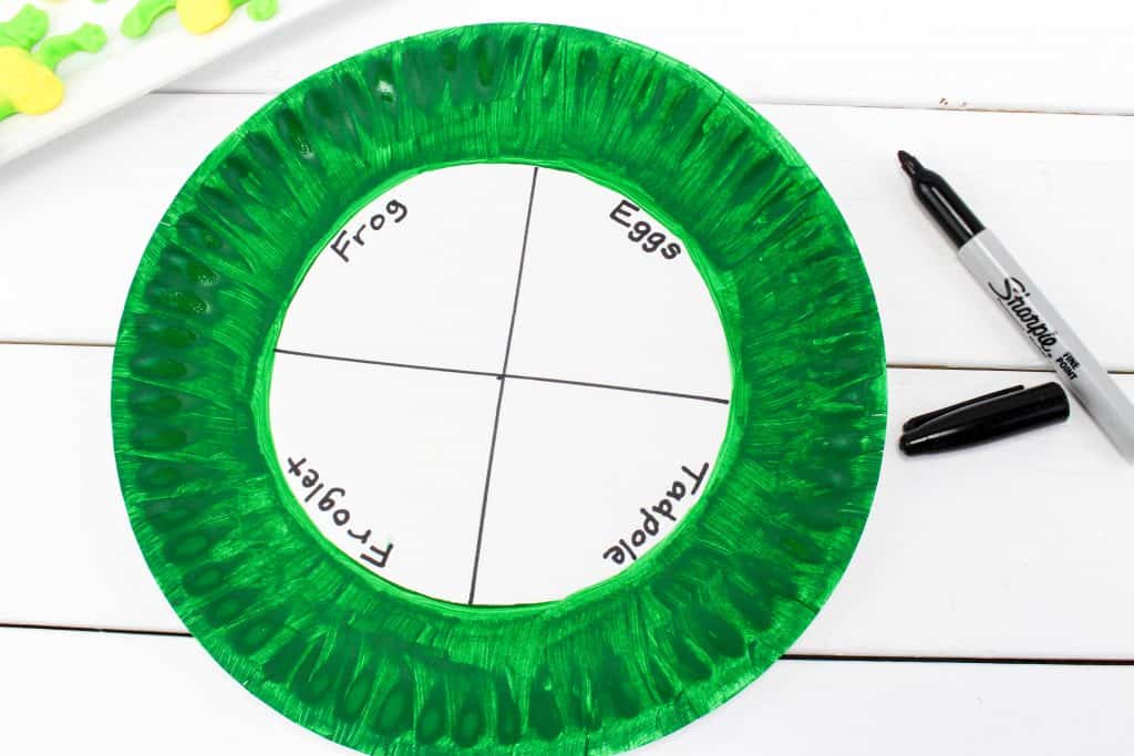 life cycle frog paper plate craft