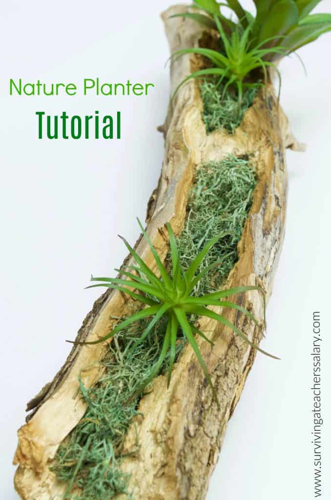 Bring Nature Indoors: DIY Inexpensive Nature Planter Home Decor Tutorial