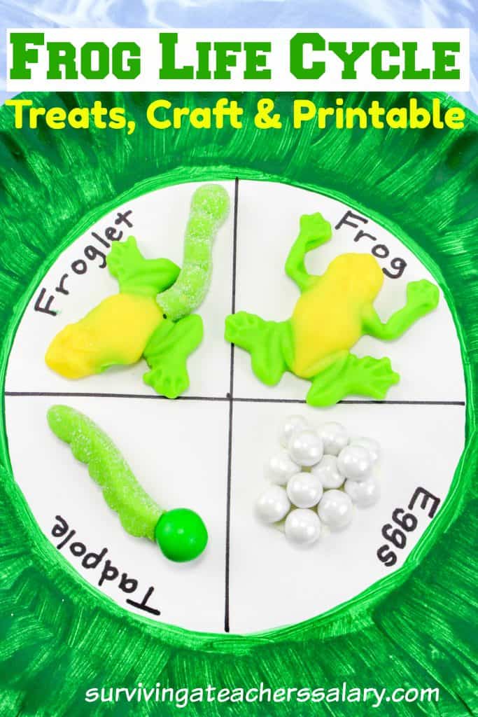 frog life cycle snacks and craft